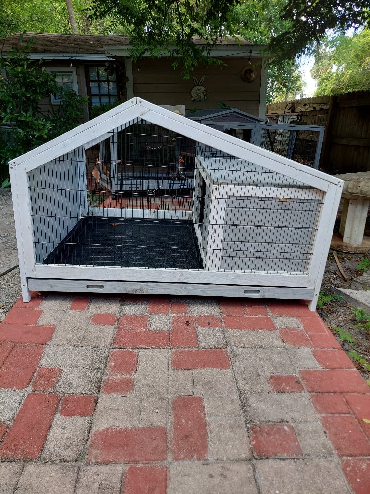 Image of Hutch (Rabbits or chicks)