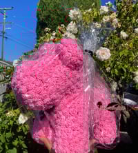 Rose Dog