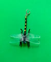 Buggo Earring 8