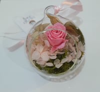 Image 1 of Preserved Flower Baubles