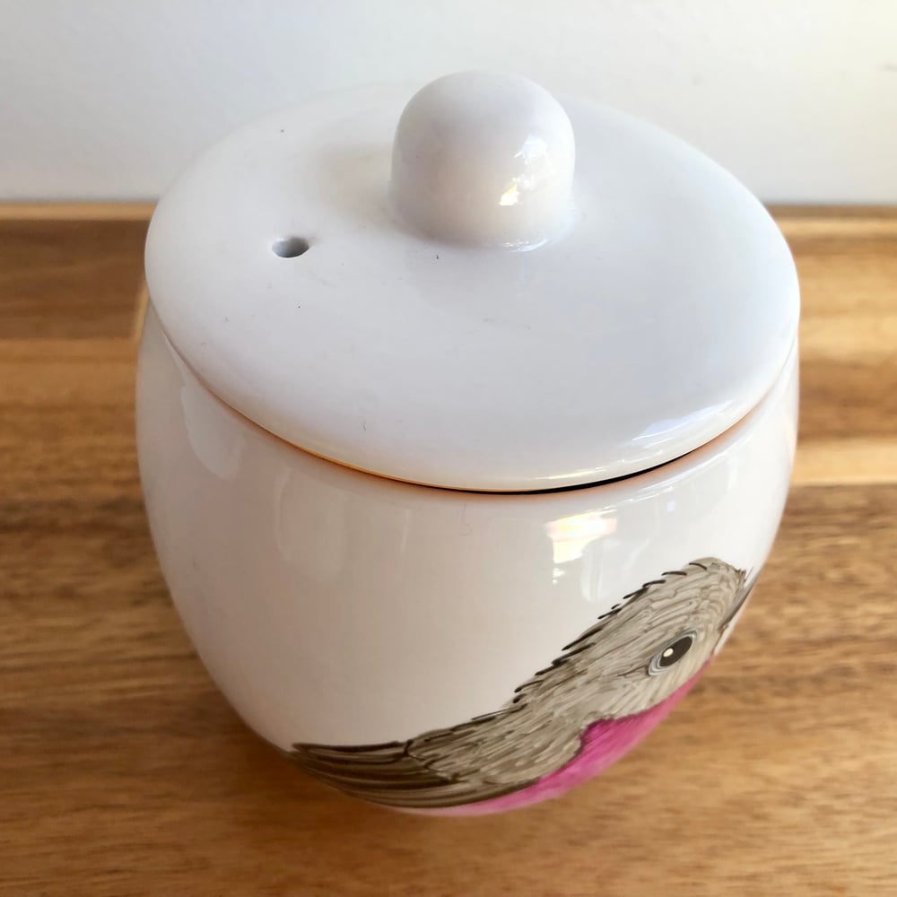 Pink Robin Ceramic Canister
