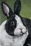 Dutch Rabbit Original Oil Painting