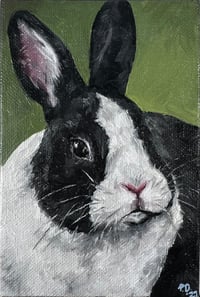 Image 1 of Dutch Rabbit Original Oil Painting
