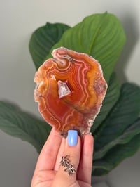 Image 1 of DOUBLE SIDED LAGUNA AGATE SLICE D