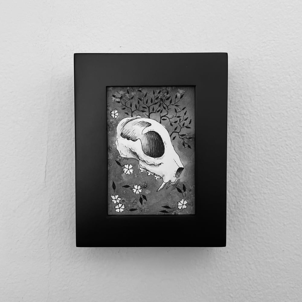 Original Ink And Watercolor Cat Skull One In Frame