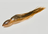 Image 8 of 10” (9 3/4) BOM REPLACEMENT SKIRT