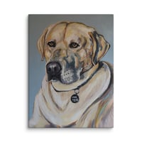 Image 1 of Yellow Labrador