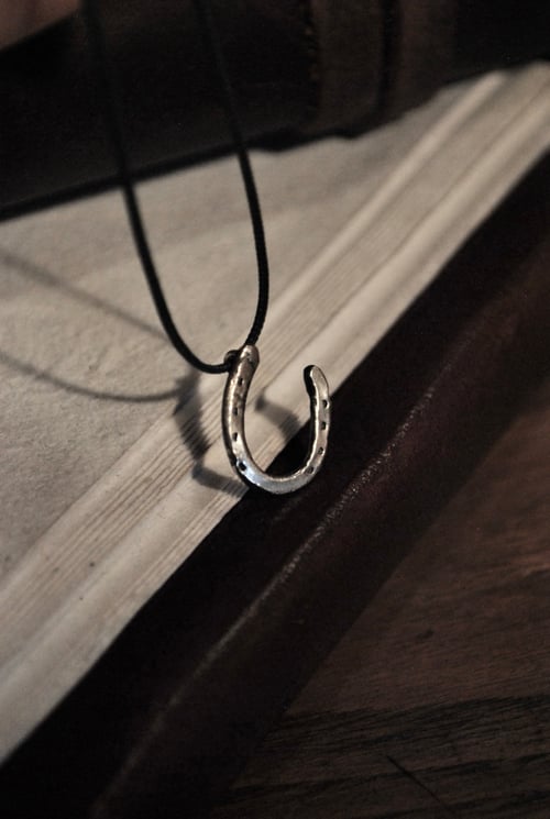 Image of Wild horses