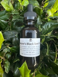 Black seed oil 