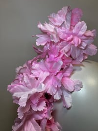 Image 2 of Soft  pink flower trail. 