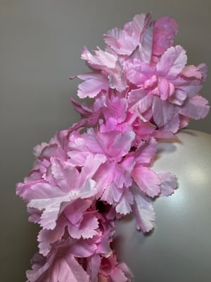 Image of Doct pink flower trail