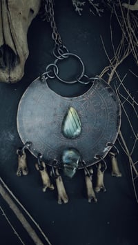 Image 2 of Relic talisman with toe bones 