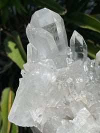 Image 13 of Clear Quartz Points Cluster Statement Piece #2446