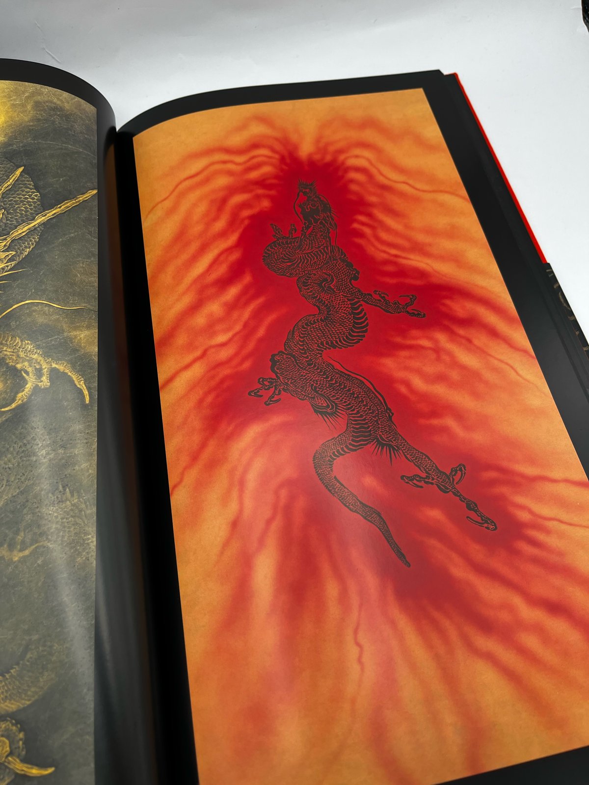 Rebirth of the Dragon アートブック Future of the Time Dragon: A Branches Book (Dragon Masters