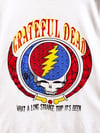 Grateful Dead 1993 Summer Tour Lot T-Shirt - Size XL