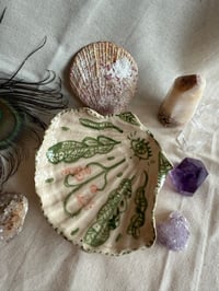 Image 3 of Coquillage en céramique_Nature🌟