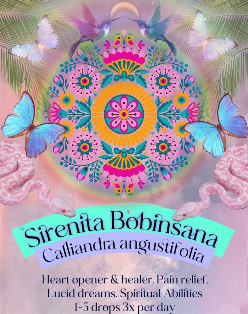 Image of Sirenita Bobinsana Calliandra angustifolia Spagyric 4ml