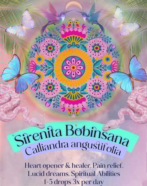 Image of Sirenita Bobinsana Calliandra angustifolia Spagyric 4ml 