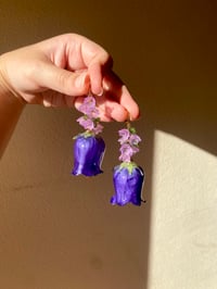 Image 3 of 💜Purple Bellflower💜 