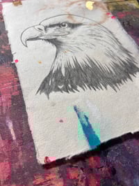 Image 2 of Eagle Study#1