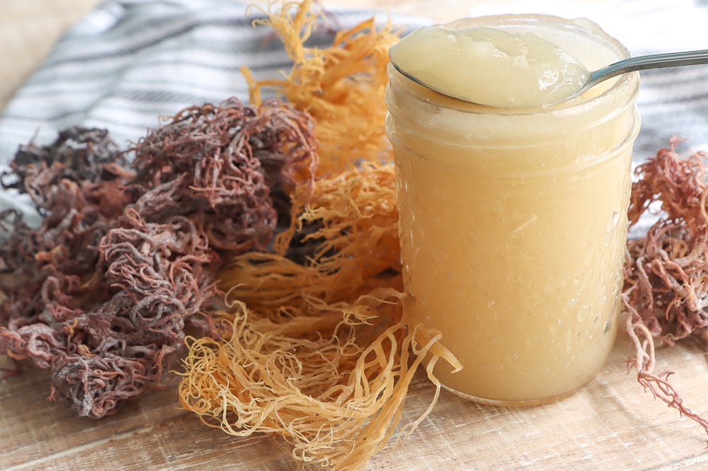 Image of Organic Sea Moss Gel 17oz  (Pick up or Delivery Fees may apply )