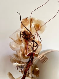 Image 2 of Transparent tan acrylic flowers headpiece