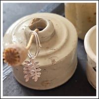 Image 2 of Silver Fern [hoops]