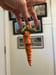 Image of Carrot Ornie 5