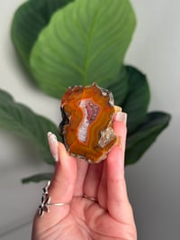ORANGE CONDOR AGATE -ARGENTINA- #25