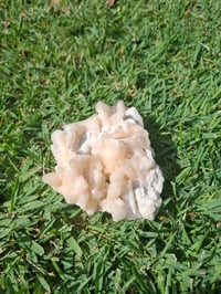 Image 7 of Apophyllite Cluster A