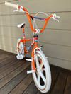 1987 Pro Freestyle Tour “Team Model”