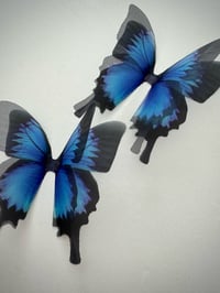 Image 2 of Ulysses (Set of 2)