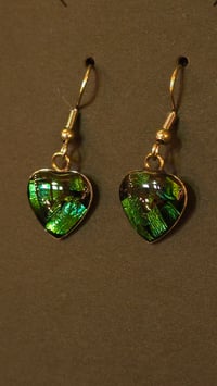 Image 6 of Dead Good Elytra Beetle wing earrings 