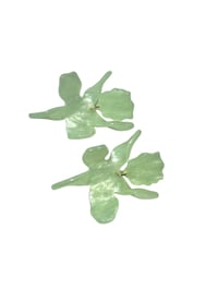 Image 1 of Green Summer
