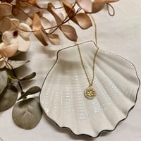 Image 2 of ΑΤΣΑΛΙΝΟ ΚΟΛΙΕ ΚΑΡΚΙΝΟΣ