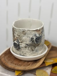 Image 2 of Birch bark Planter (# 5)