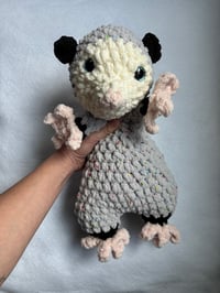 Image 1 of lola the opossum 