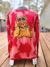 Alf in Love