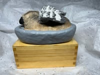 Image 9 of Custom Engraved Pug Urn Pet Portrait To Your Photos