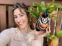 Image 1 of Osaka Fern in Funky Zebra Pot