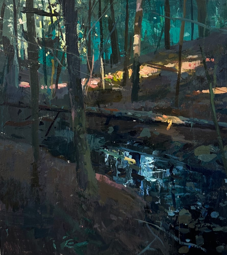 Image of Early morning light shards