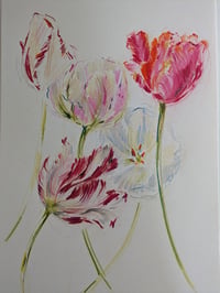 Tulips no. IV