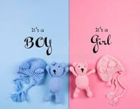 Early Gender Reveal. (Draw fee included) 