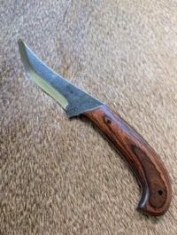 Image 2 of PERSIAN