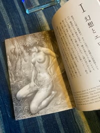 Image 10 of  A Dreamland of Pleasure, Ran Akiyoshi, 2024.