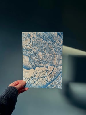 Tree ring