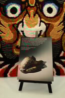 Image 2 of YAMA #1 2025