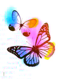 Image 5 of Collage Kit Minis