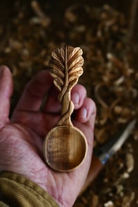 Image 1 of ~Twisted Stem Oak leaf Scoop 