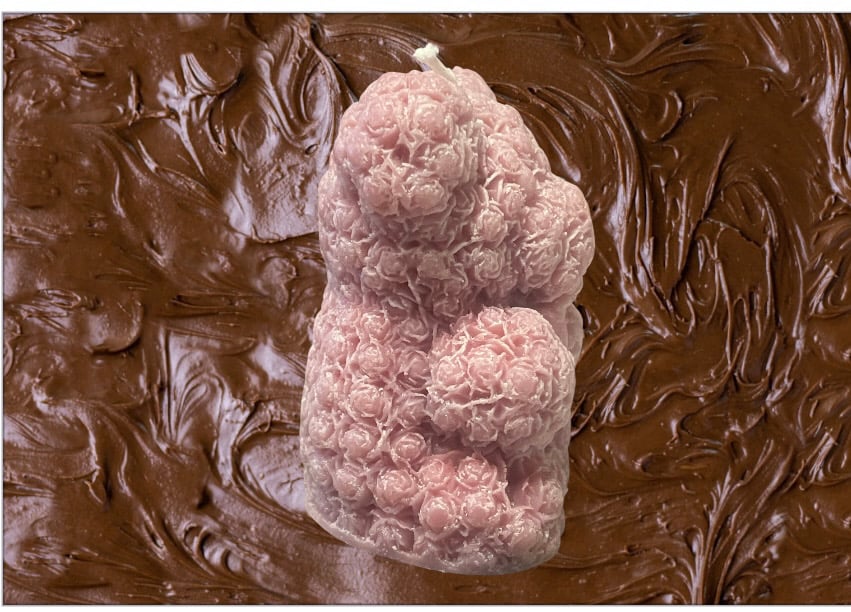 Image of Fudge Brownie Bear 2